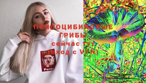 винт Пролетарск