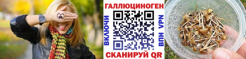 Галлюциногенные грибы GOLDEN TEACHER  Дятьково 